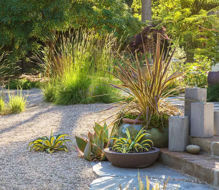 4 Grass Alternatives for Yards with Major Curb Appeal