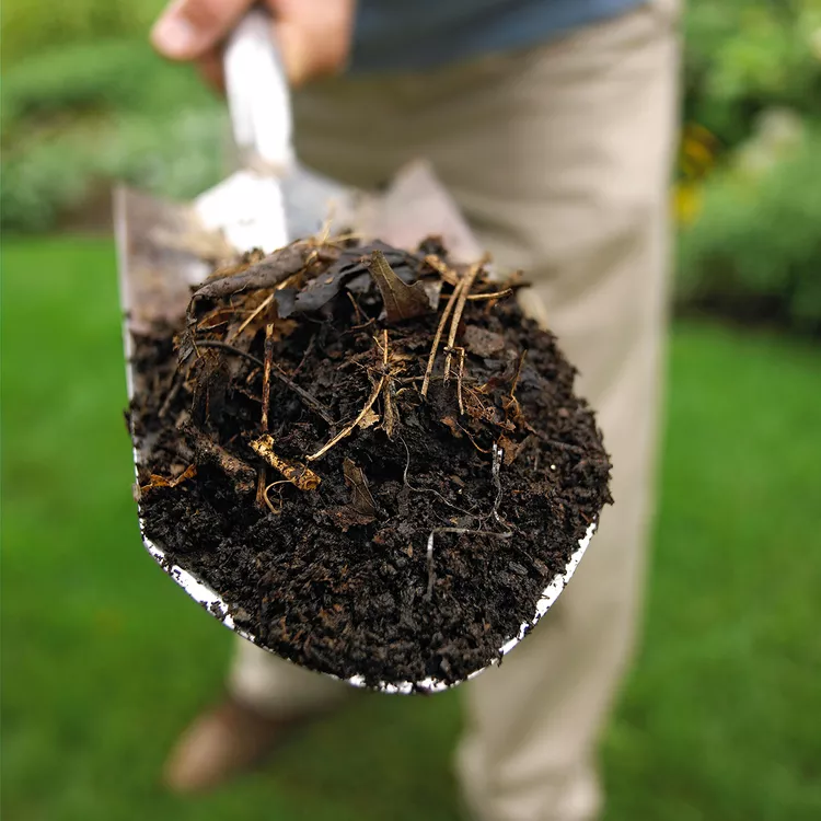 How to Compost: Feeding Your Plants and Reducing Waste