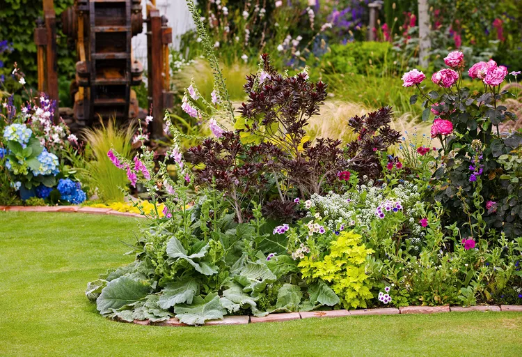 Everything You Need to Know About Landscape Edging