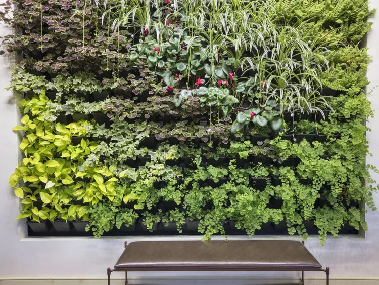 The Living Wall Is the Natural Next Step for Decorating with Plants